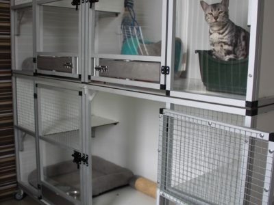 Kitten cage